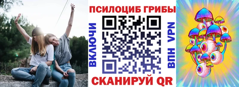 Псилоцибиновые грибы Psilocybine cubensis  Спасск-Дальний 